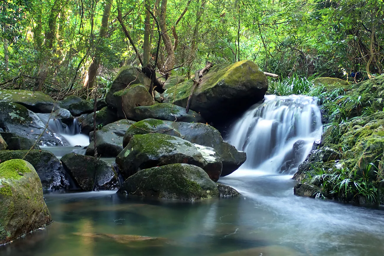 Tai Po Kau Nature Reserve in China, East Asia | Nature Reserves - Rated 3.3