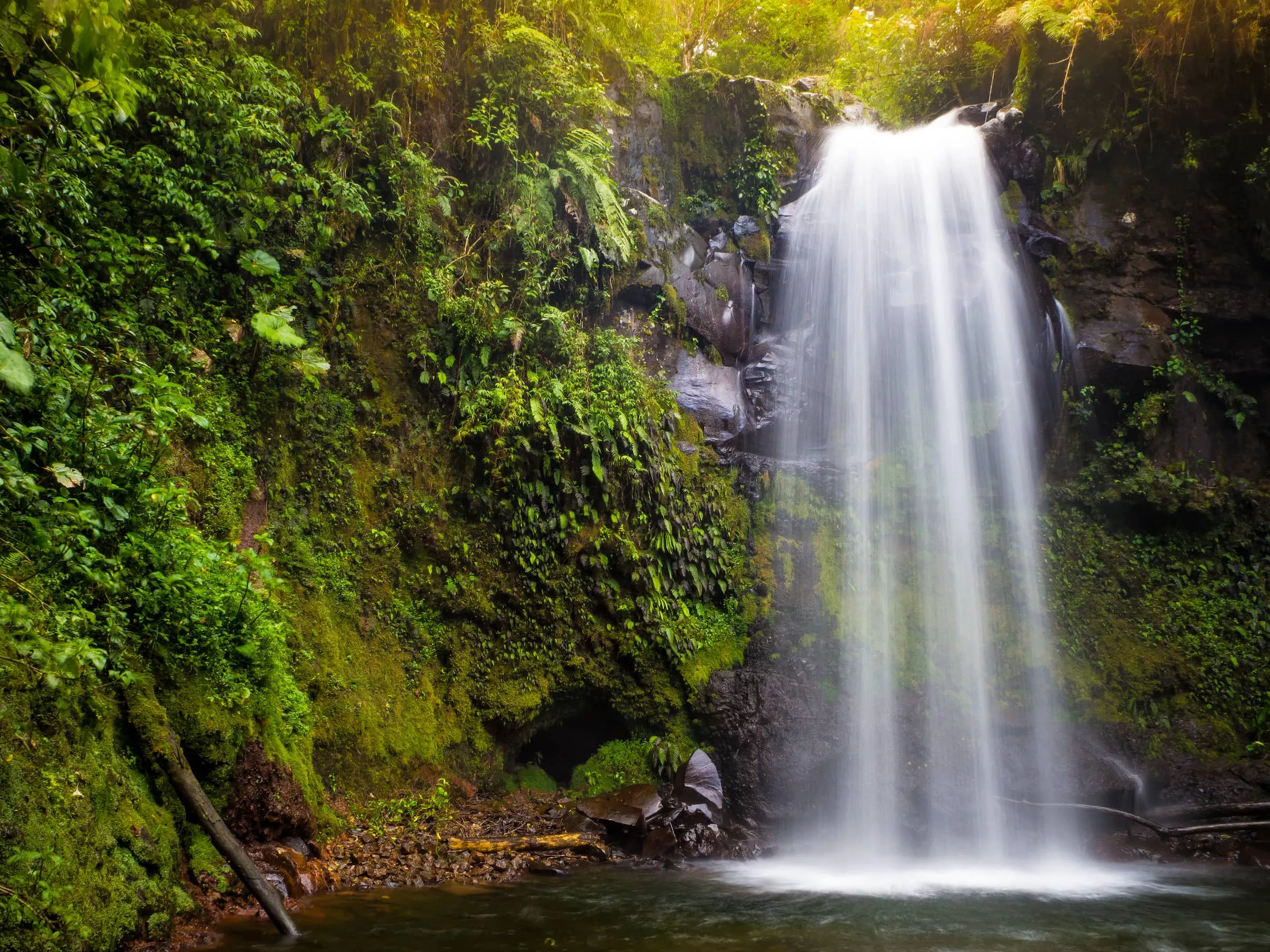 The Lost Waterfalls in Panama, North America | Waterfalls,Trekking & Hiking - Rated 0.9