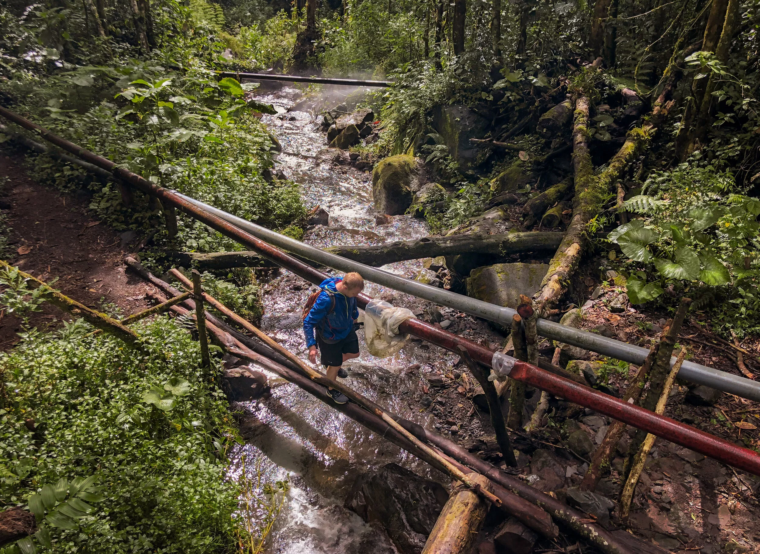 Pipeline Trail in Panama, North America | Trekking & Hiking - Rated 0.8