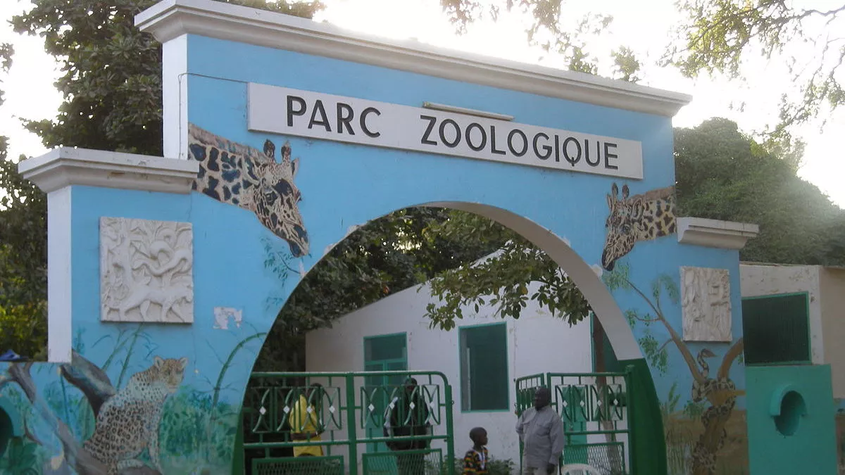 Park Zolozhik De An in Senegal, Africa | Zoos & Sanctuaries - Rated 3.5