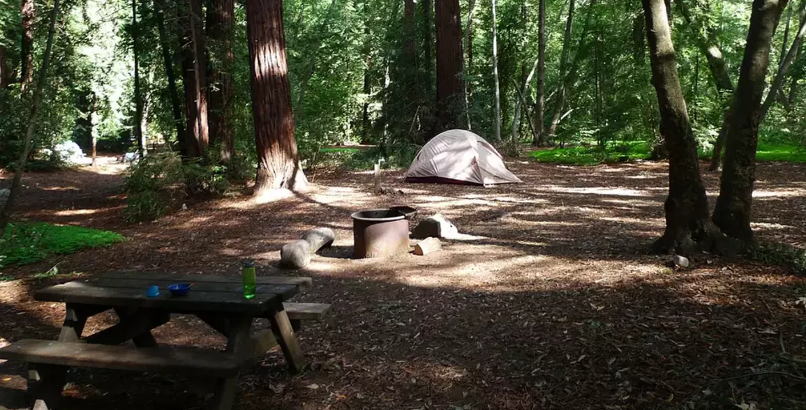Pfeiffer Big Sur Campground in USA, North America | Campsites - Rated 4.6