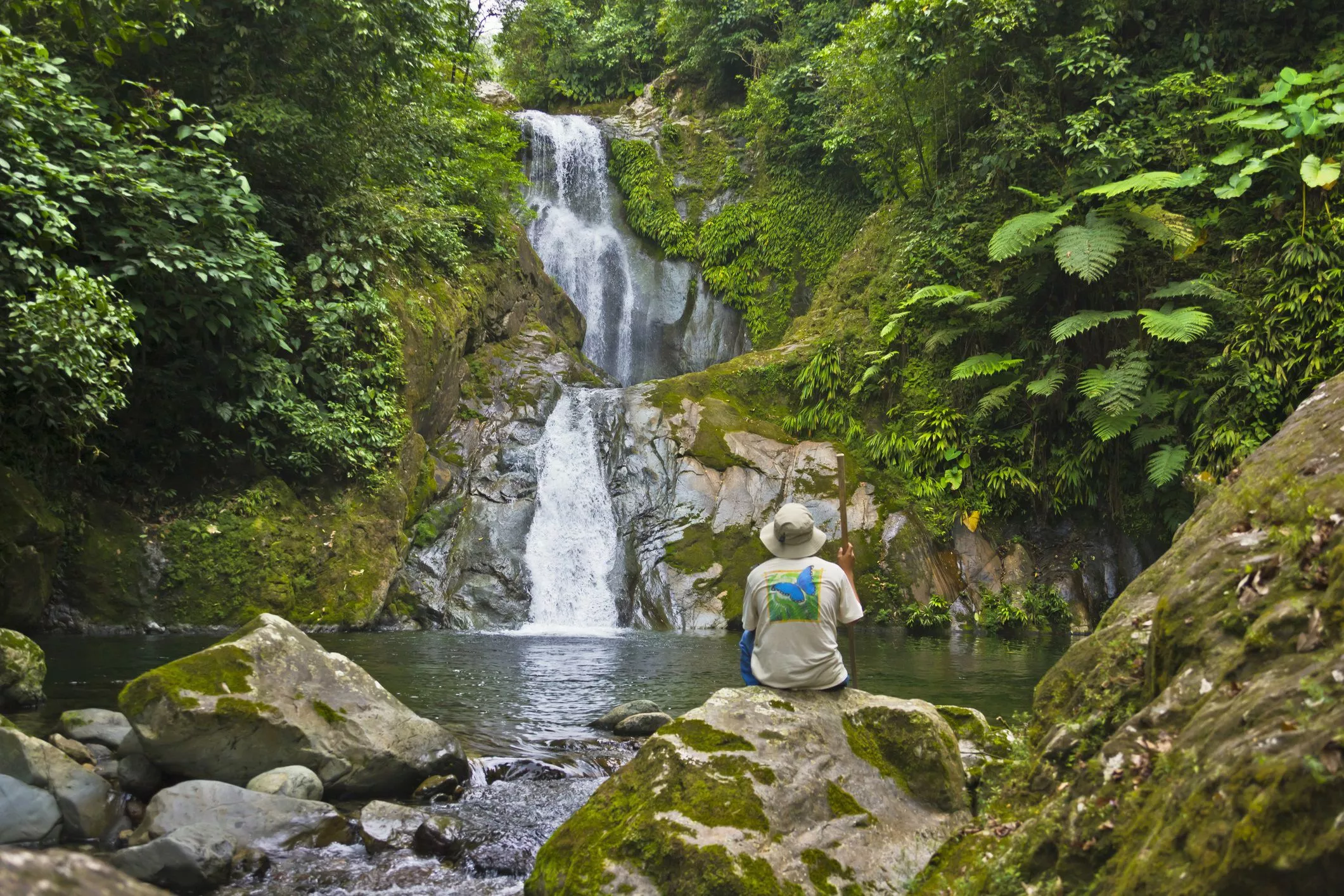 Pico Bonito National Park in Honduras, North America | Parks,Trekking & Hiking - Rated 3.8