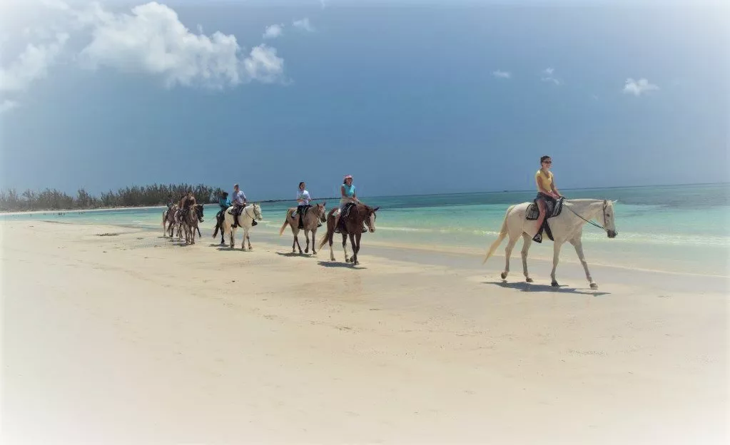 Pinetree Stables in Bahamas, Caribbean | Horseback Riding - Rated 0.9