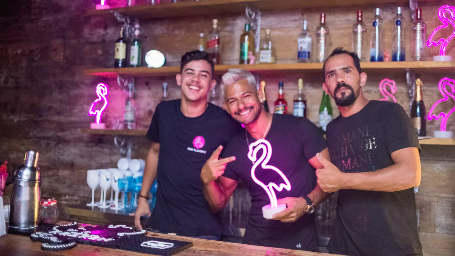 Pink Flamingo in Brazil, South America | LGBT-Friendly Places,Bars - Rated 0.6