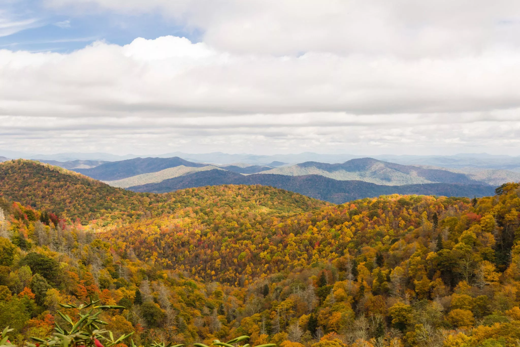 Pisgah National Forest in USA, North America | Nature Reserves - Rated 4.7