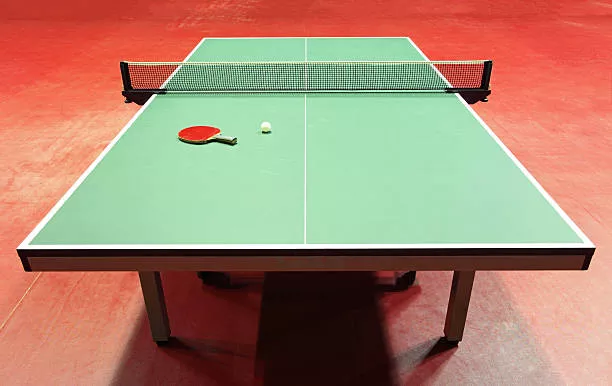 Poggers Table Tennis Thingie in Germany, Europe | Ping-Pong - Rated 0.9