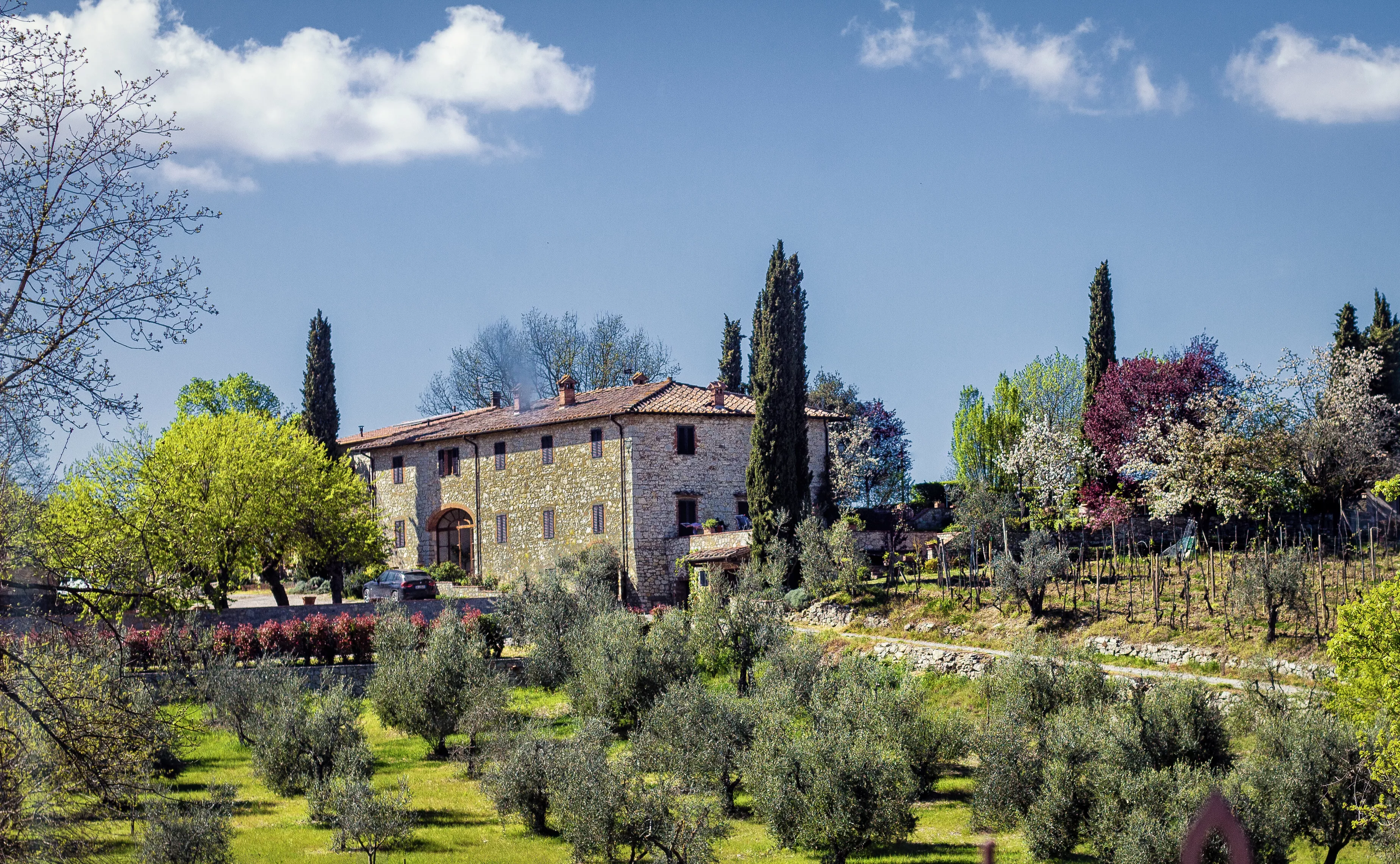 Poggio Amorelli in Italy, Europe | Wineries - Rated 4.1