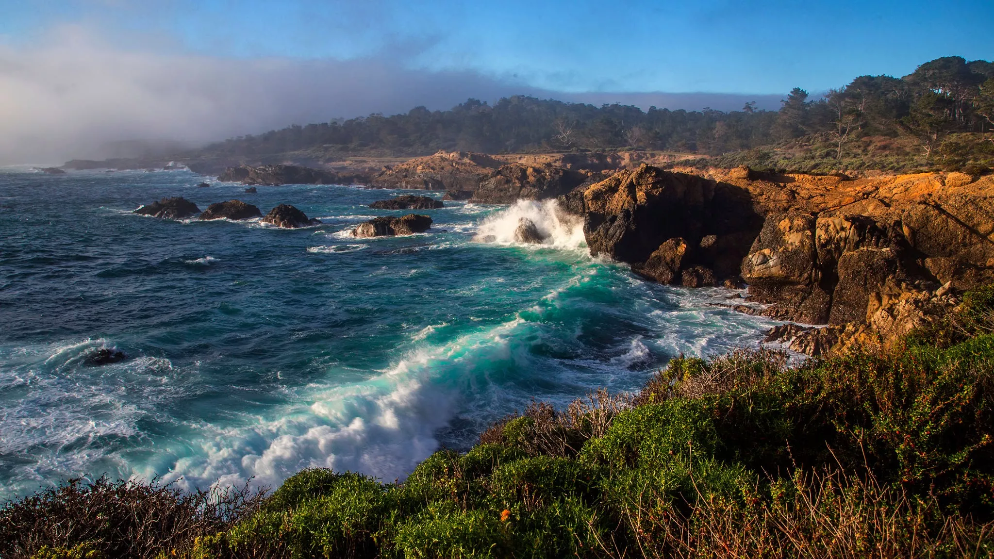 Point Lobos in USA, North America | Nature Reserves - Rated 3.9