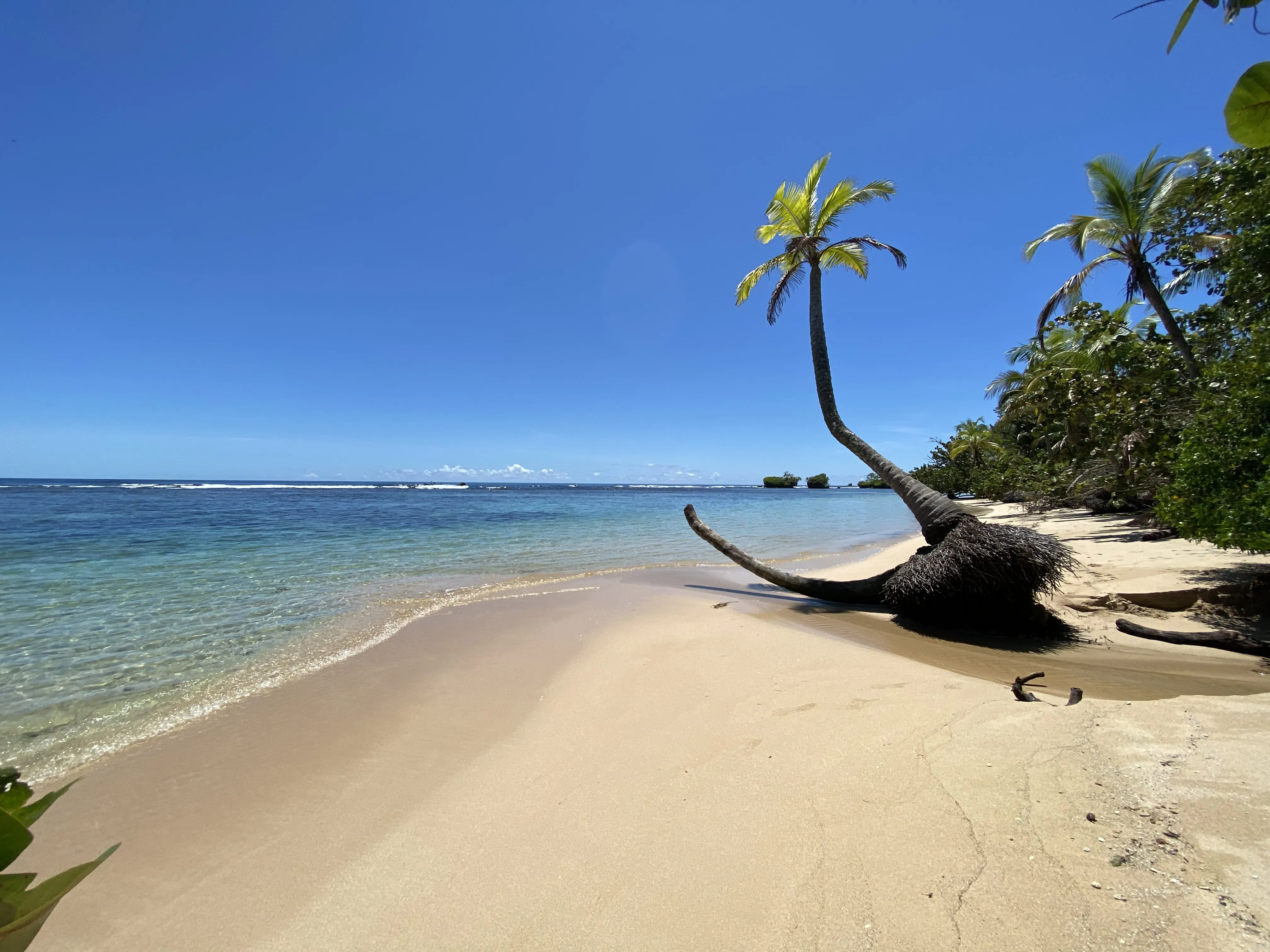 Polo Beach in Panama, North America | Beaches - Rated 0.9