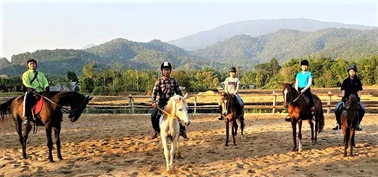 Pong Horse Park in Thailand, Central Asia | Horseback Riding - Rated 1