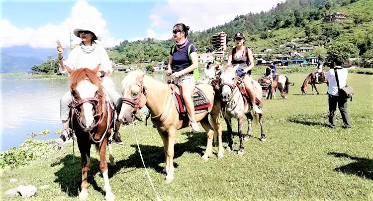 Pony Farm Pokhara in Nepal, Central Asia | Horseback Riding - Rated 1