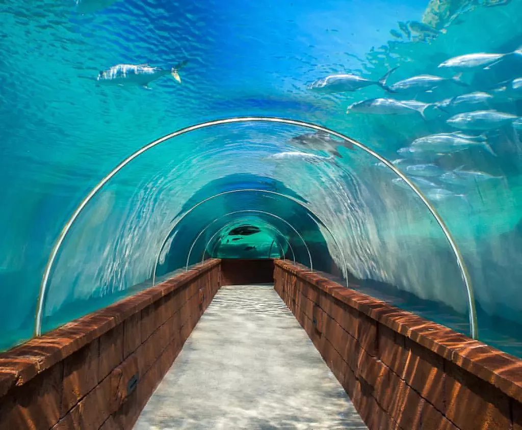 Predator Lagoon in Bahamas, Caribbean | Aquariums & Oceanariums - Rated 3.7
