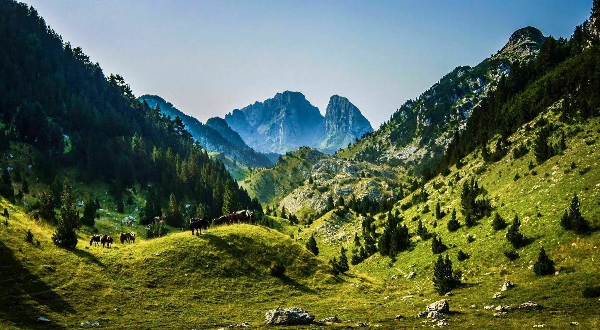 Prenj's 11 Peak Linkup in Bosnia and Herzegovina, Europe | Trekking & Hiking - Rated 0.9
