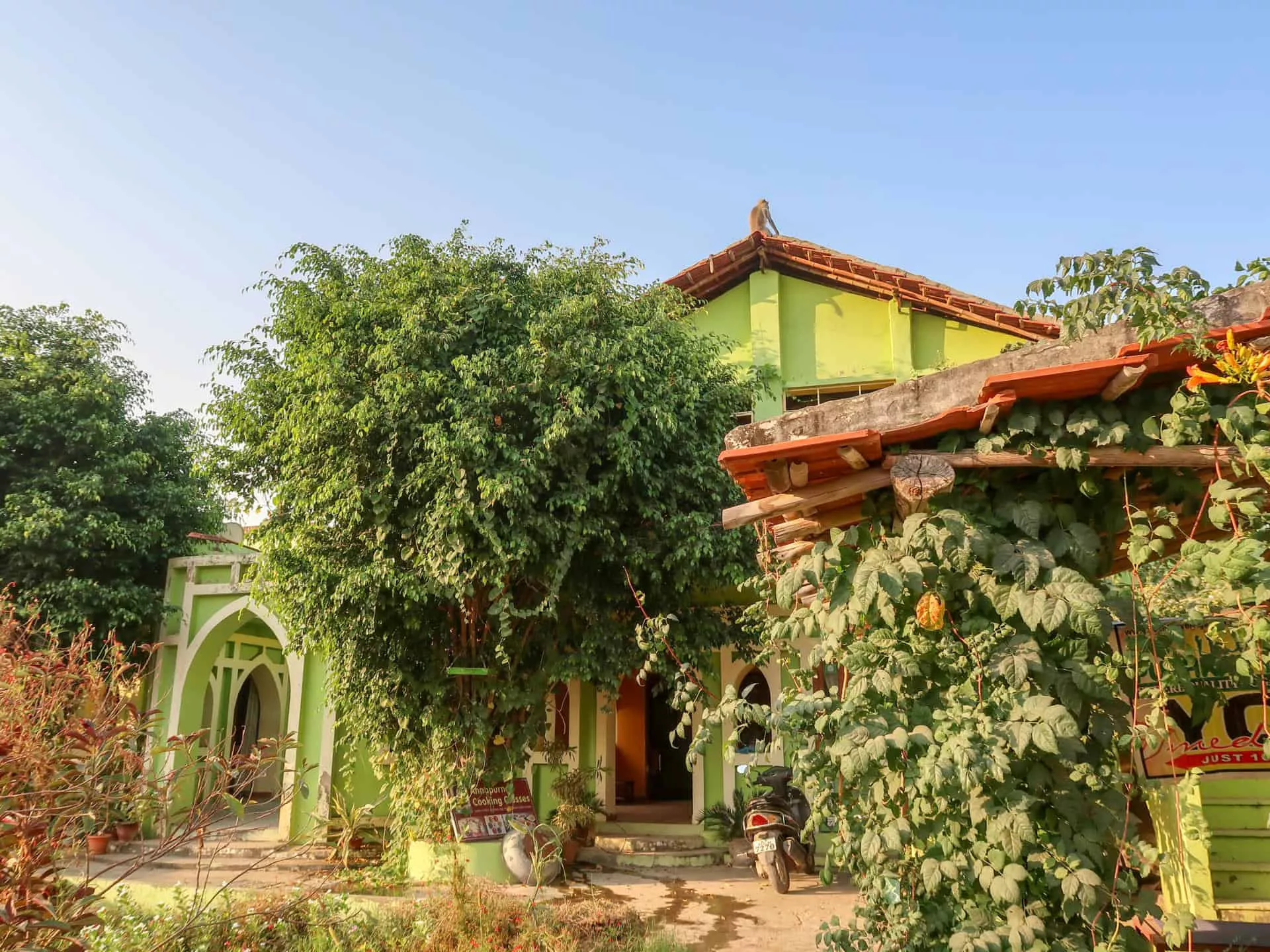 Pushkar Yoga Garden in India, Central Asia | Yoga - Rated 4.3