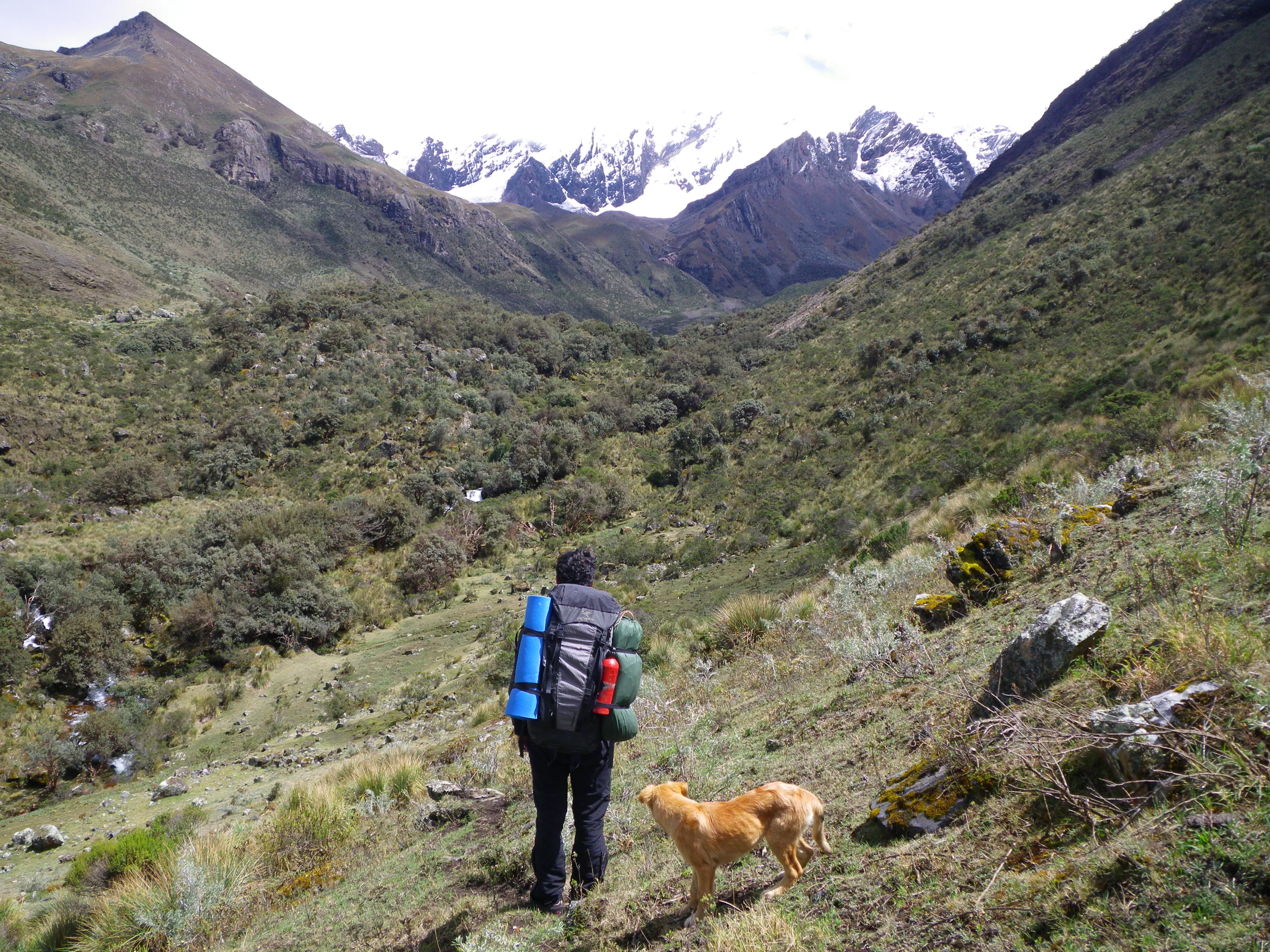 Quilcayhuanca & Cojup Valleys in Peru, South America | Trekking & Hiking - Rated 0.8