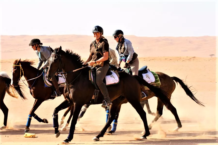 Qurum Equestrian LLC. in Oman, Middle East | Horseback Riding - Rated 0.8