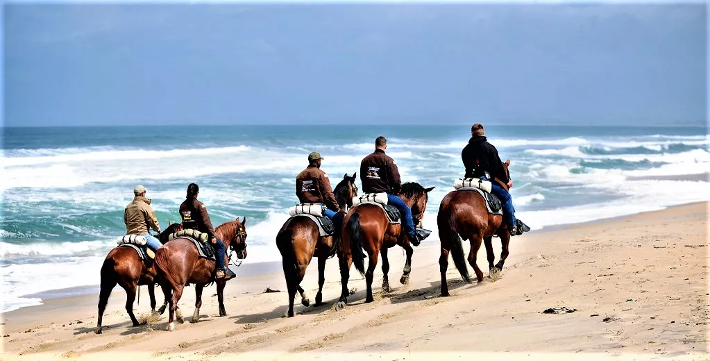 Rainbow Beach Horse Rides in Australia, Australia and Oceania | Horseback Riding - Rated 1.1