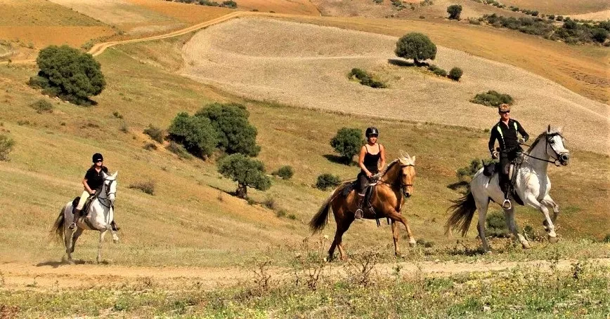 Ranch Siesta Los Rubios in Spain, Europe | Horseback Riding - Rated 1