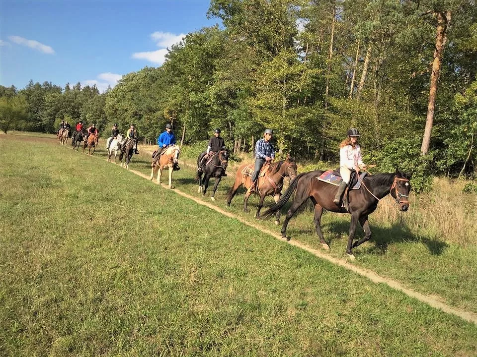 Ranch U Rezave studanky in Czech Republic, Europe | Horseback Riding - Rated 0.8