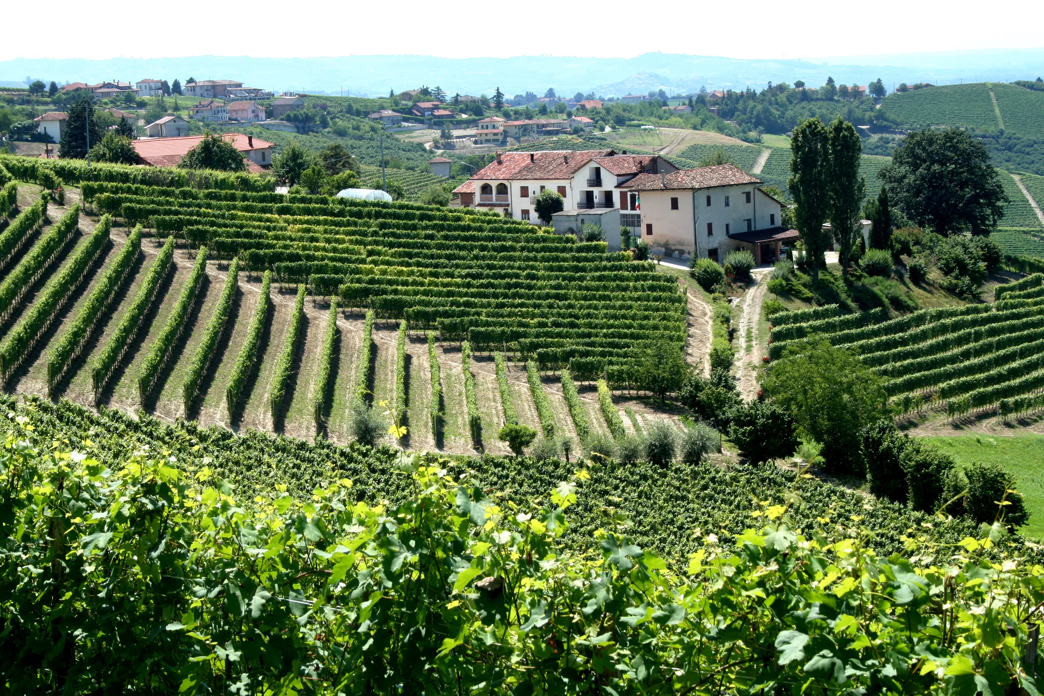Redaelli de Zinis in Italy, Europe | Wineries - Rated 0.8