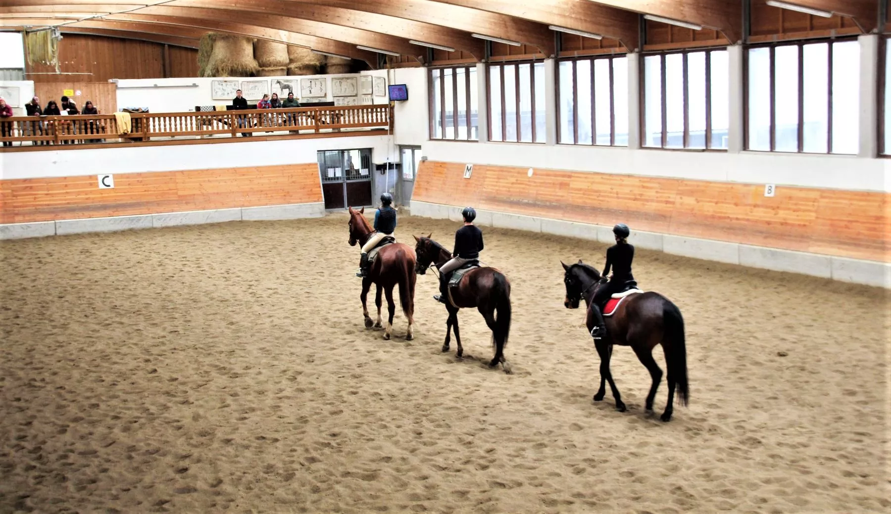 Reitschule Mösl-Haregg in Austria, Europe | Horseback Riding - Rated 0.9