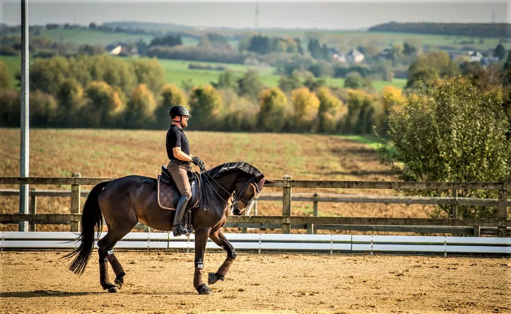 Reitsportzentrum MC Weyer s.a.r.l. in Luxembourg, Europe | Horseback Riding - Rated 0.9