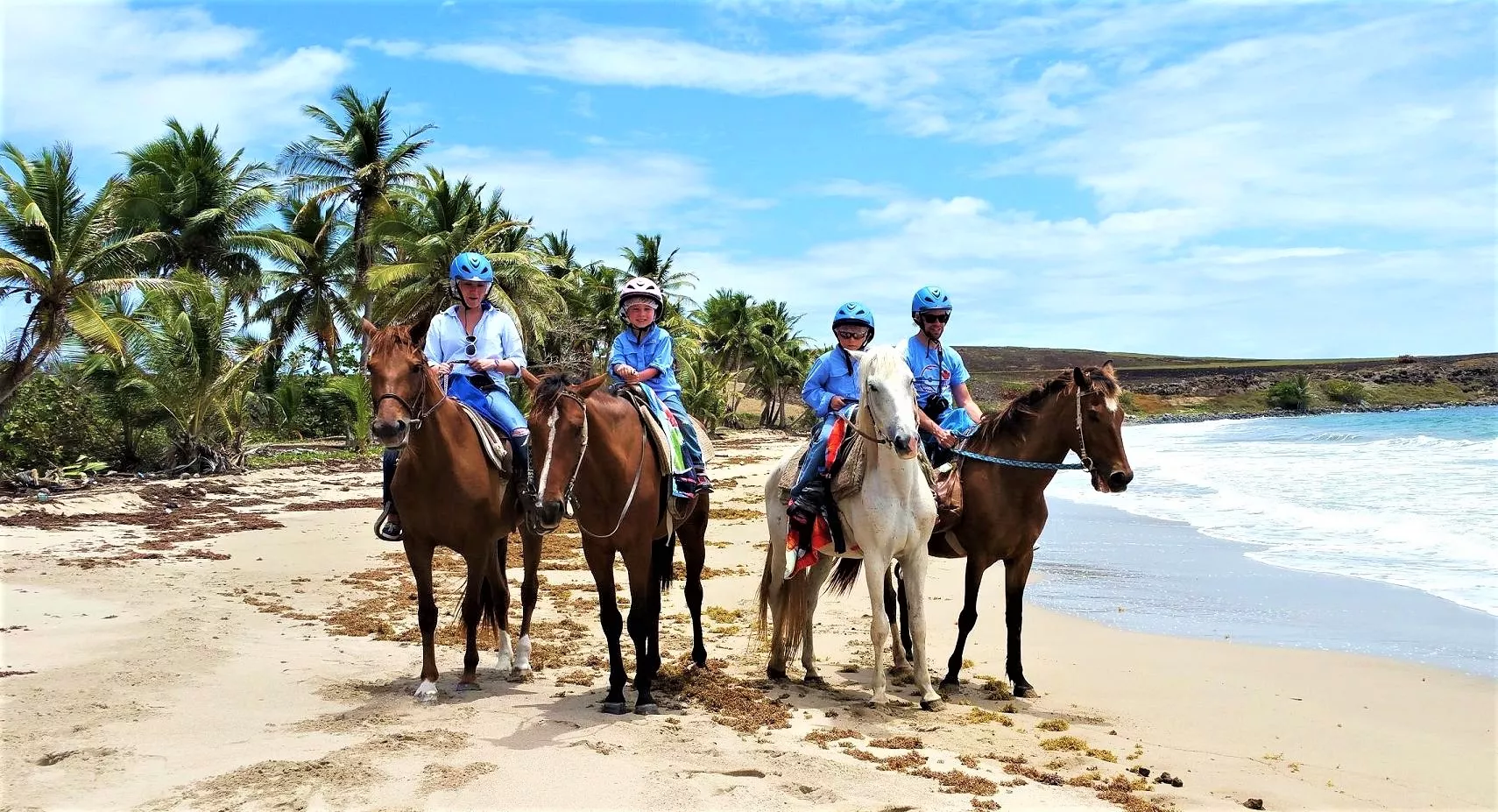 Ride St. Lucia in Saint Lucia, Caribbean | Horseback Riding - Rated 1