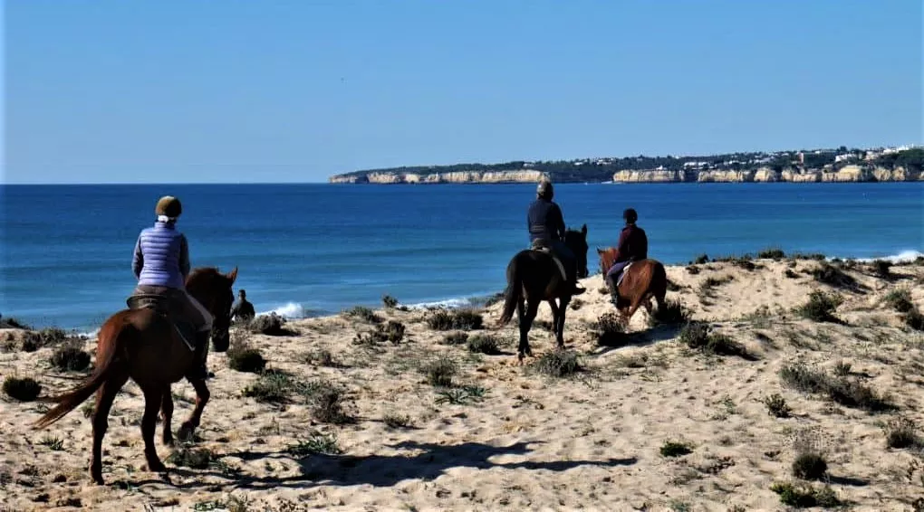 Riding Center Quinta da Saudade in Portugal, Europe | Horseback Riding - Rated 0.8