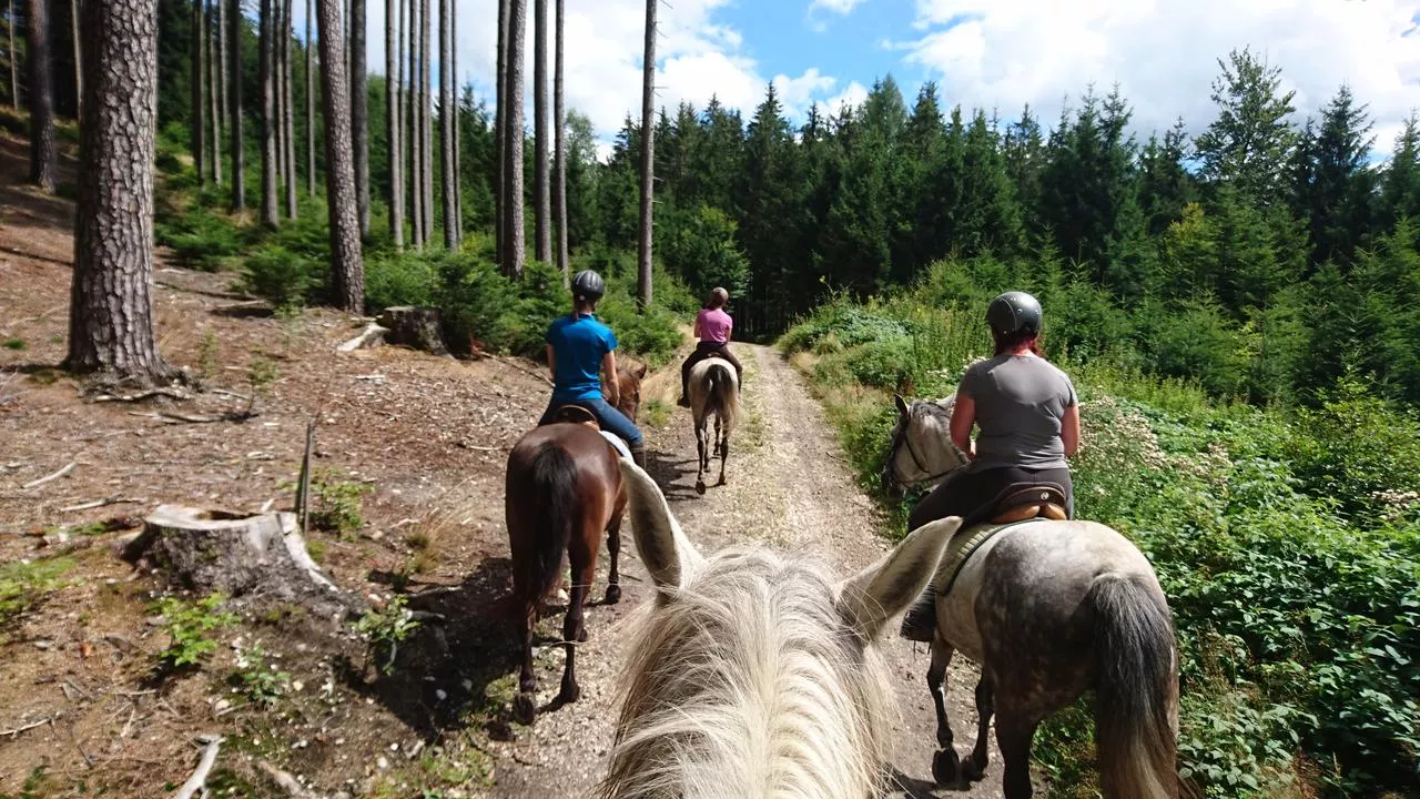 Riding Koaser Minerl in Austria, Europe | Horseback Riding - Rated 1.2