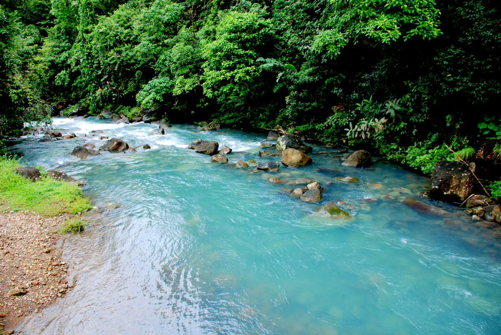 Rio Celeste Waterfall Hike in Costa Rica, North America | Trekking & Hiking - Rated 3.6