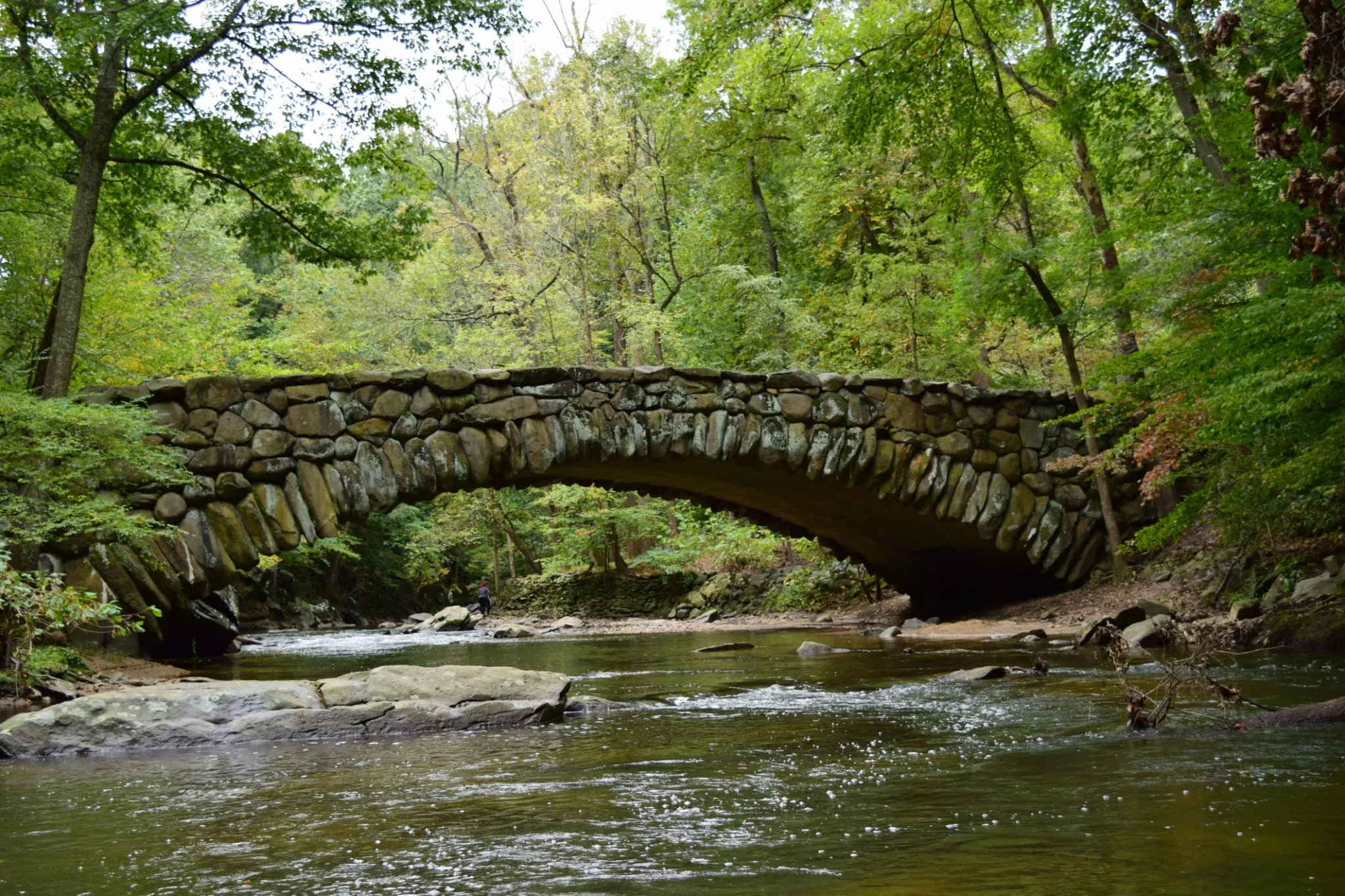 Rock Creek Park in USA, North America | Parks - Rated 3.8