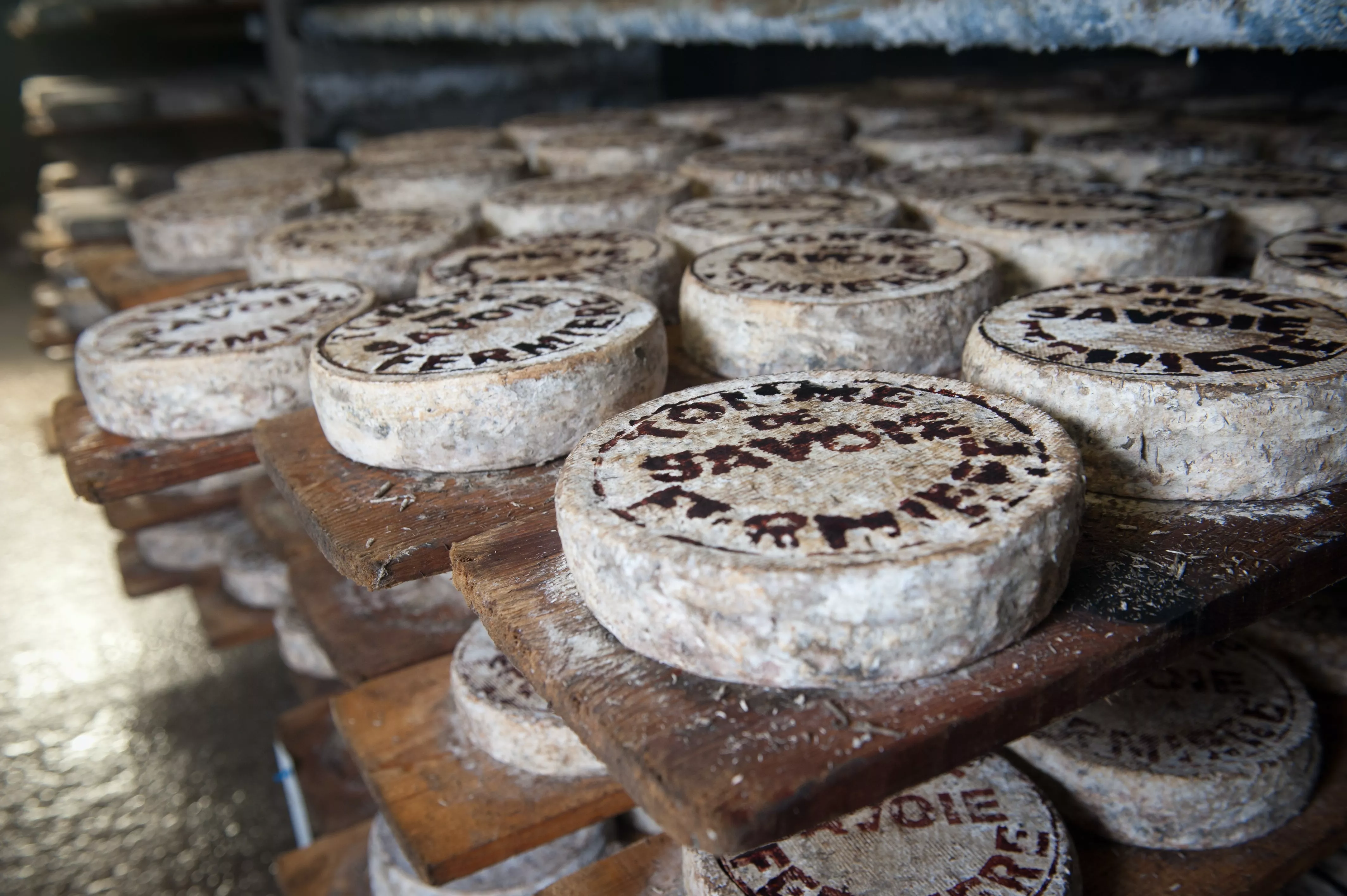 Maison Combes in France, Europe | Cheesemakers - Rated 0.9