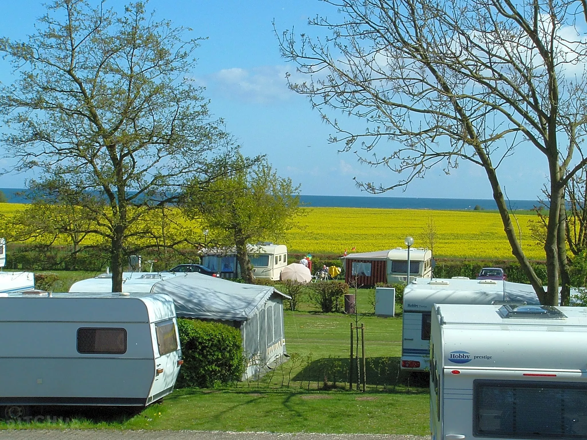 Rosenfelder Strand Ostsee Camping in Germany, Europe | Campsites - Rated 5.5