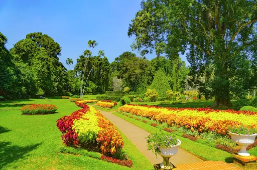 Royal Botanic Garden in Sri Lanka, Central Asia | Botanical Gardens - Rated 4.7