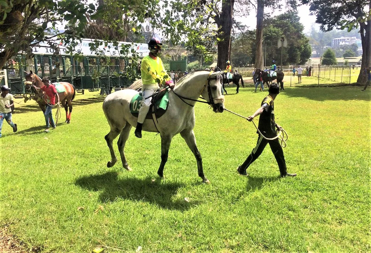 Royal Turf Club in Sri Lanka, Central Asia | Horseback Riding - Rated 0.8