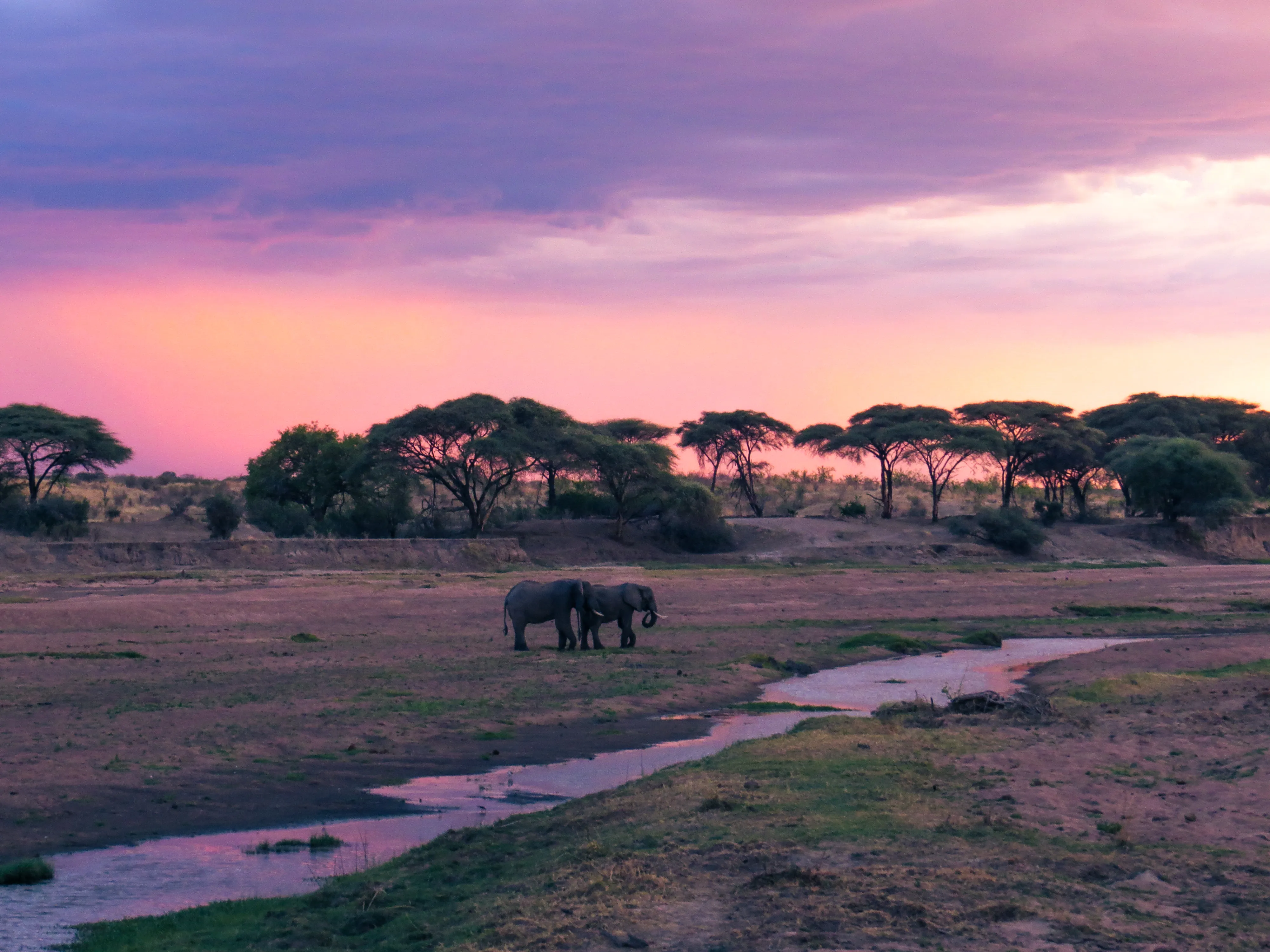 Ruaha National Park in Tanzania, Africa | Parks,Safari - Rated 0.9