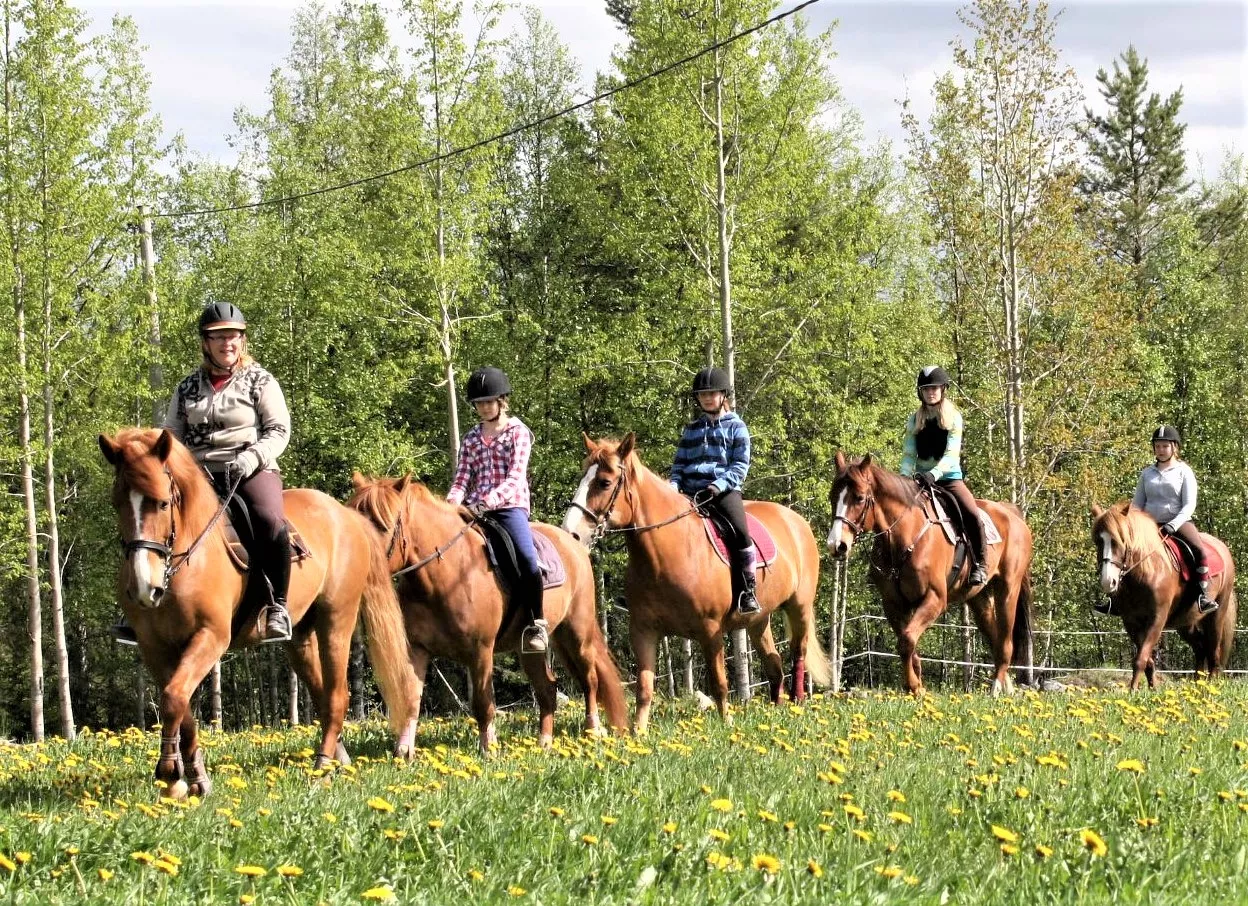 Ruska Laukka stables in Finland, Europe | Horseback Riding - Rated 1