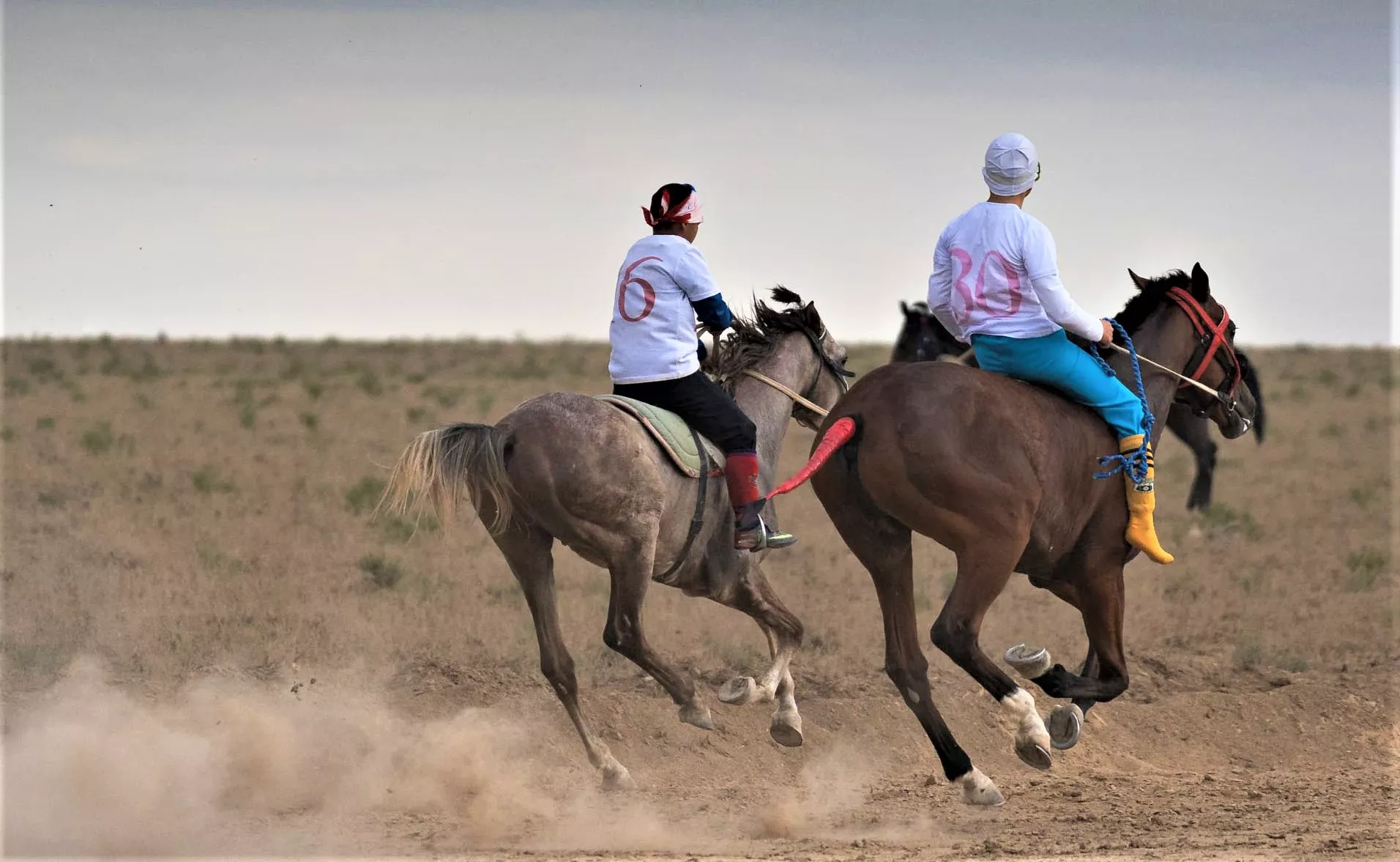Equestrian club "Legend" in Russia, Europe | Horseback Riding - Rated 0.8