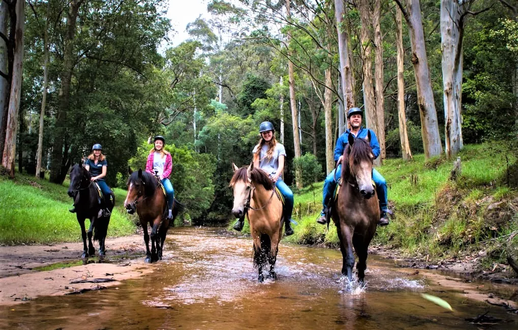SCENIC NSW HORSE RIDING CENTRE in Australia, Australia and Oceania | Horseback Riding - Rated 1