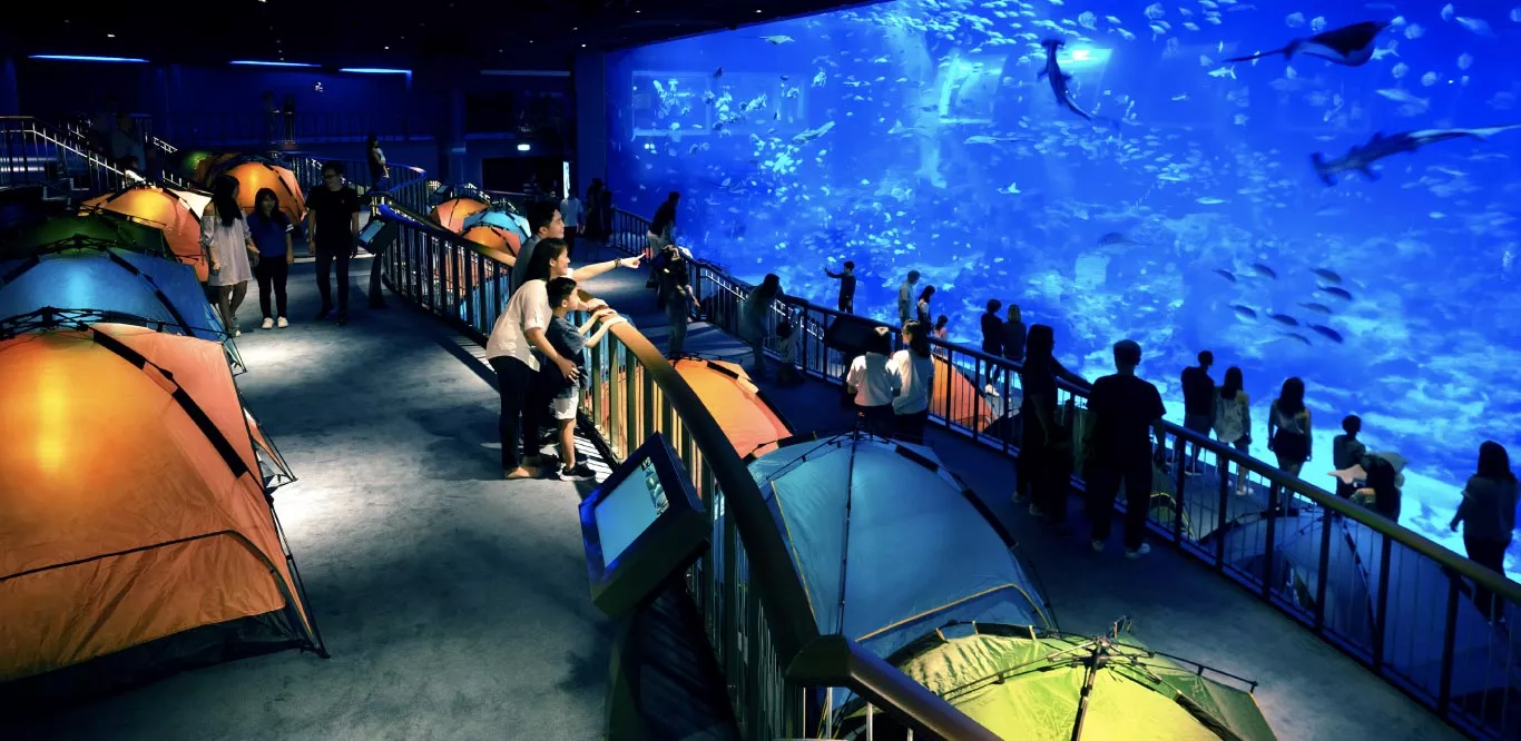 S.E.A. Aquarium in Singapore, Central Asia | Aquariums & Oceanariums - Rated 5.8