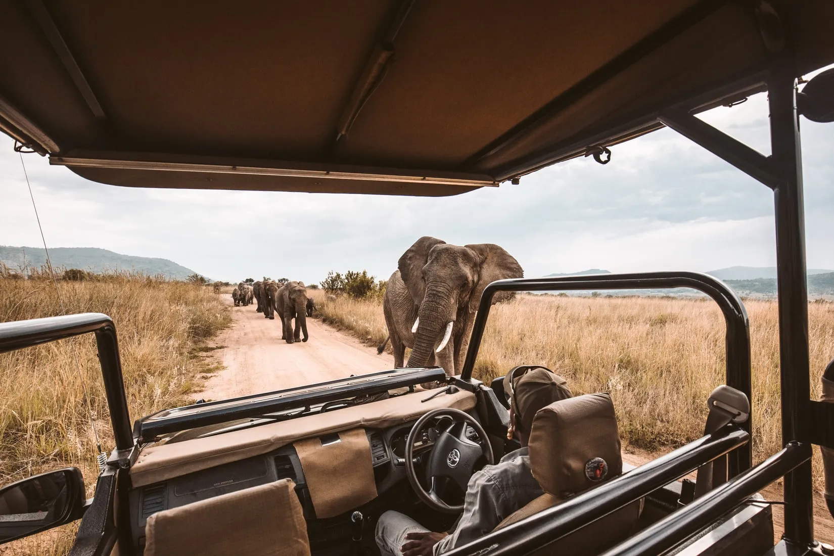 Safari Attractions