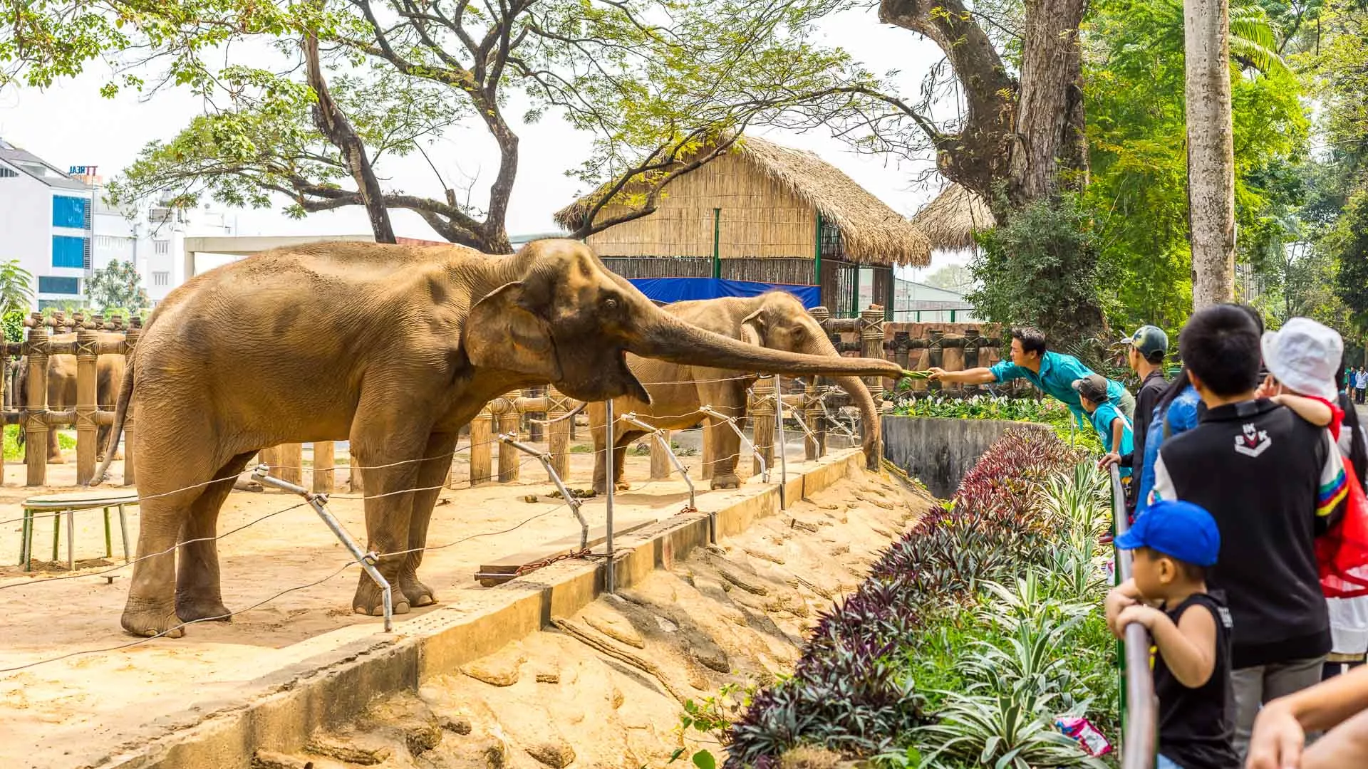 Karachi Zoo Park in Pakistan, South Asia | Zoos & Sanctuaries - Rated 4.4