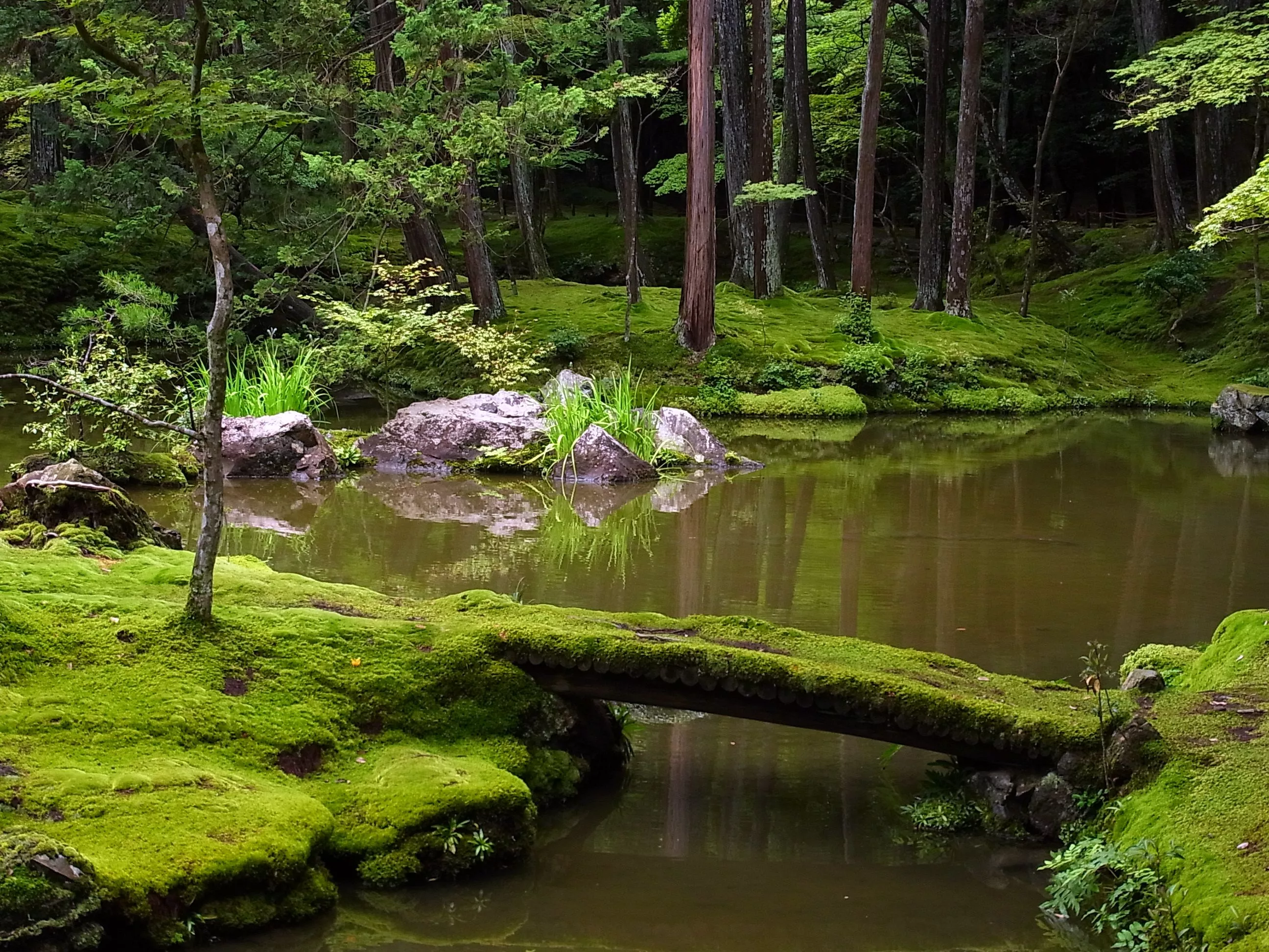 Saiho-ji in Japan, East Asia | Gardens - Rated 3.5