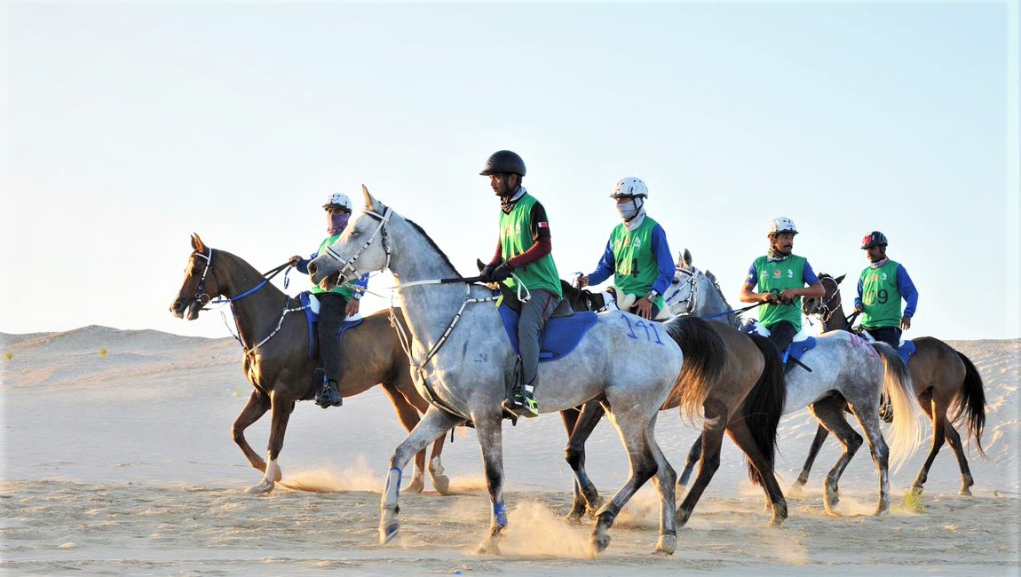 Sami Ghazwan Horse Riding Center in Bahrain, Middle East | Horseback Riding - Rated 1