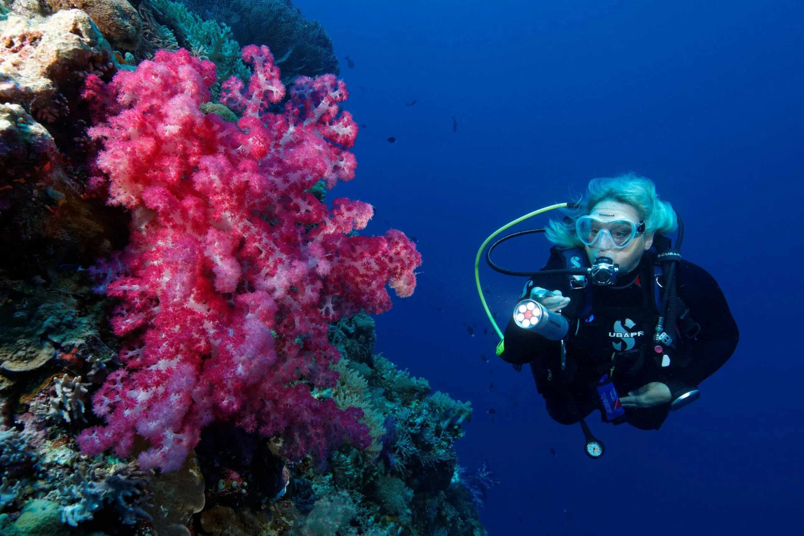 Sam's Tours Palau in Palau, Australia and Oceania | Scuba Diving - Rated 0.9