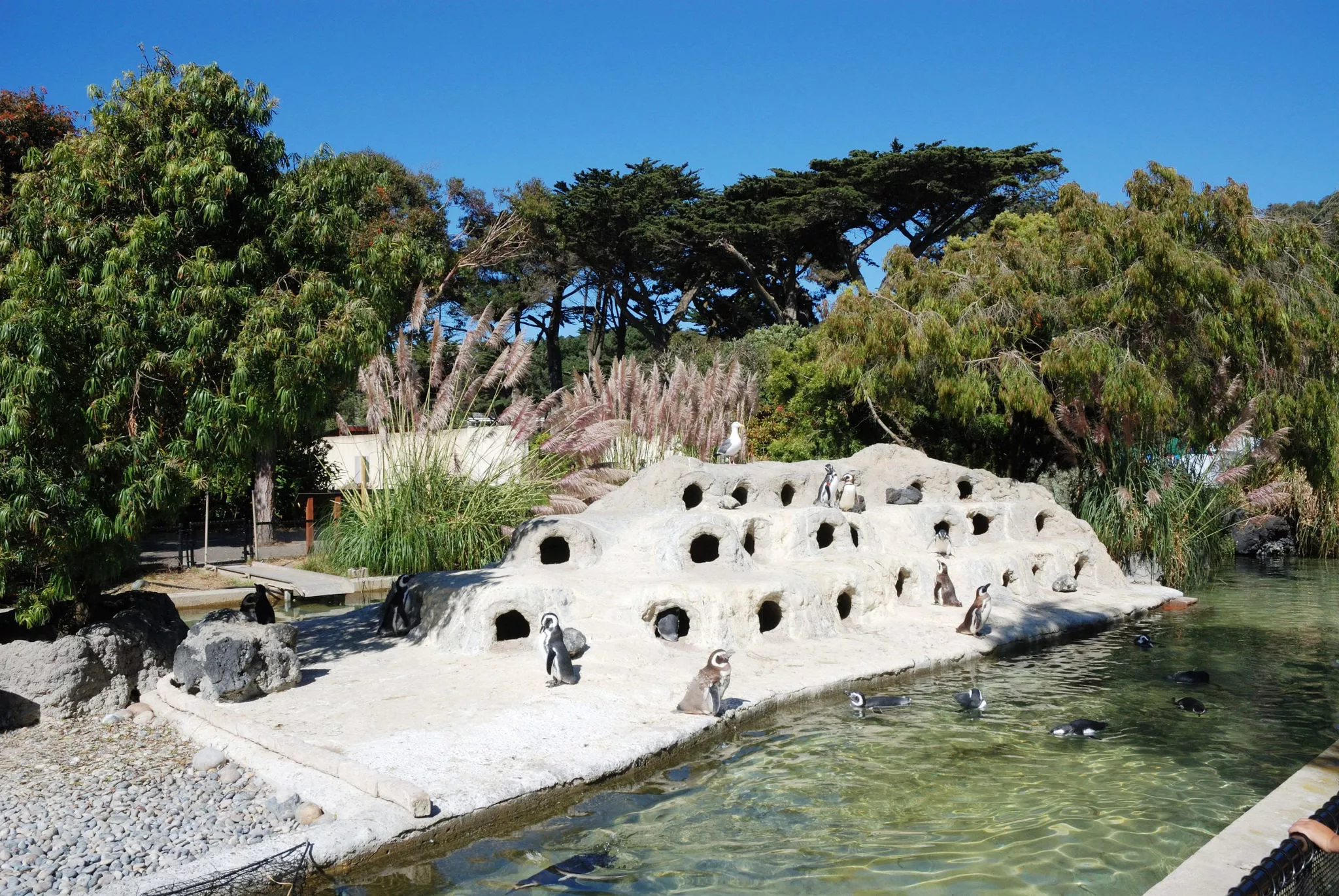 San Francisco Zoo in USA, North America | Zoos & Sanctuaries - Rated 4.4