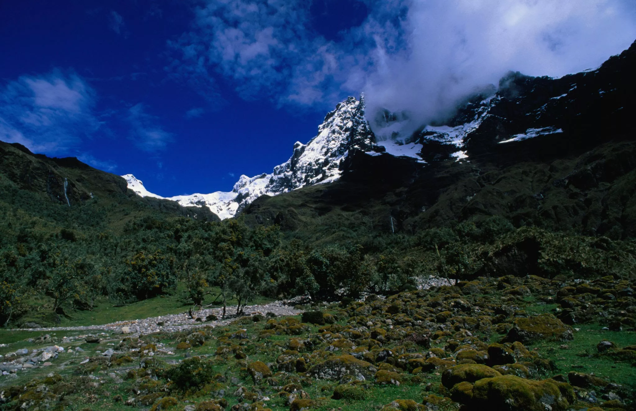 Sangai National Park in Ecuador, South America | Parks - Rated 3.8