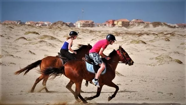 Santa Marilha Horse Excursions in Cape Verde, Africa | Horseback Riding - Rated 0.9