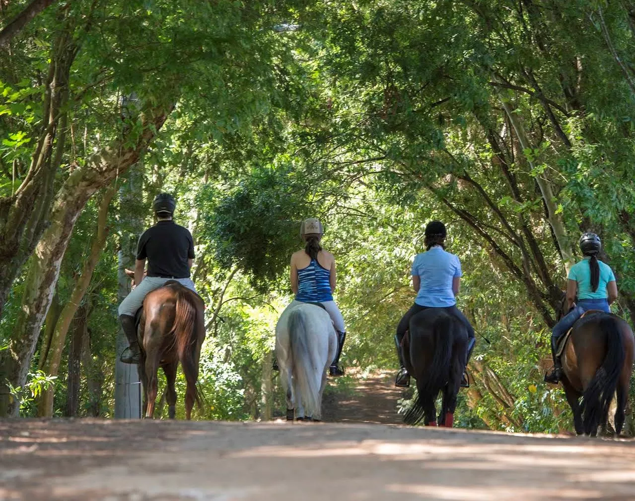 Recanto dos Cavaleiros in Brazil, South America | Horseback Riding - Rated 4.5