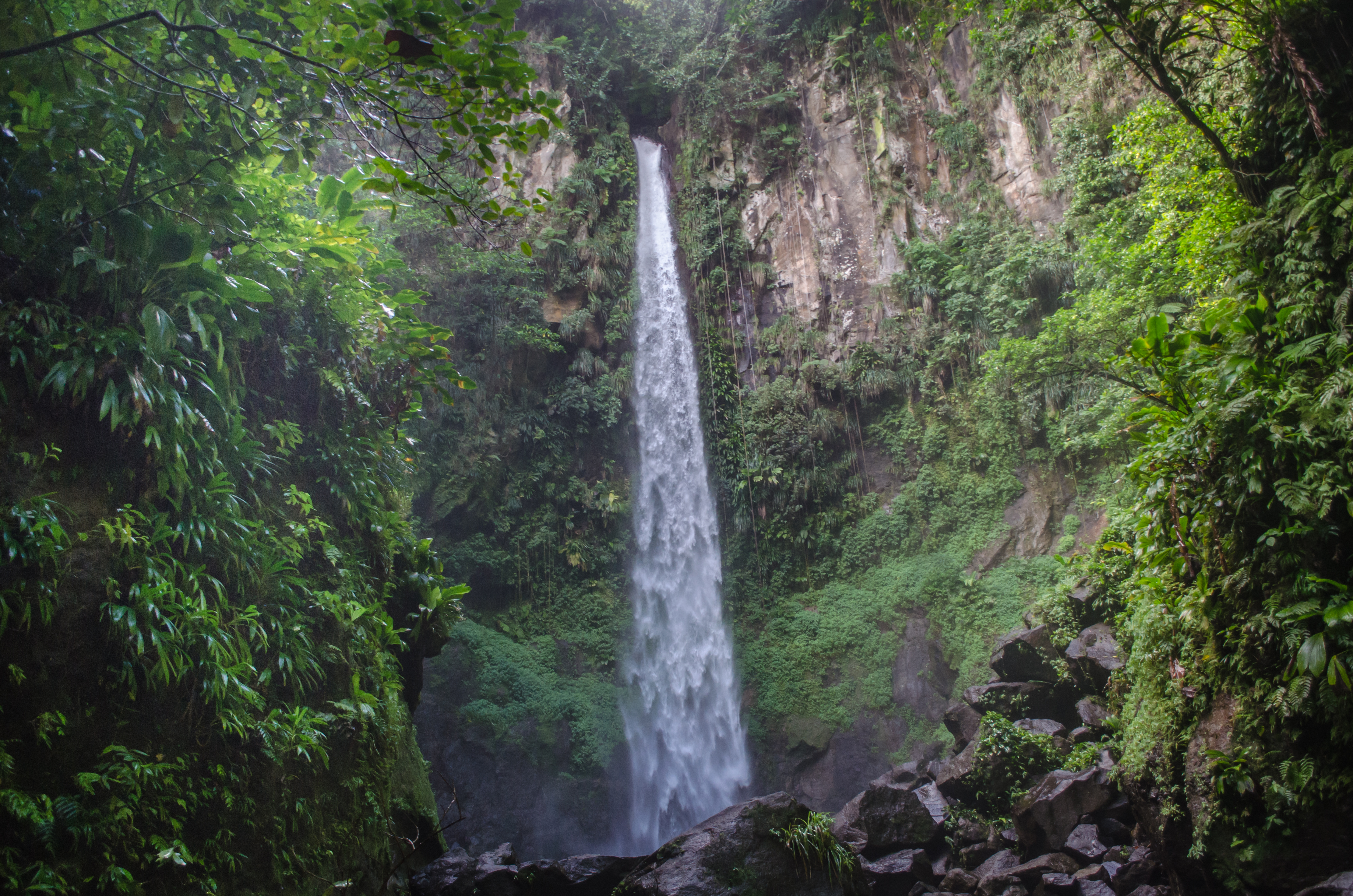 Sari Sari Falls in Dominica, Caribbean | Waterfalls - Rated 0.9